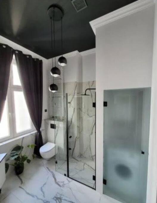 Nettuno Dowborczykow Apartment Lodz (Lodz)